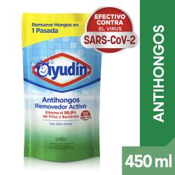 Limpiador Líquido Antihongos Removedor Activo Ayudín x 450 cc.