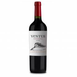 Vino Tinto Malbec Ventus x 750 cc.